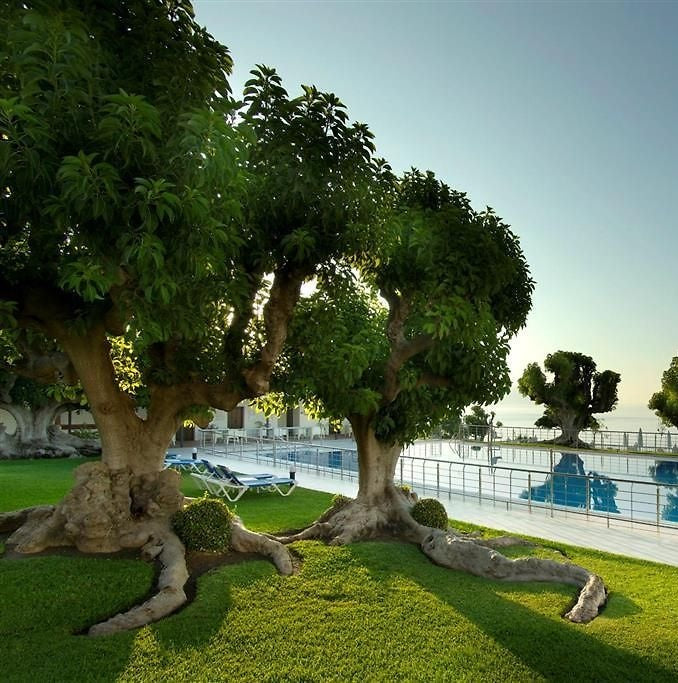 En guide till de fem bästa hotellen i Nerja!